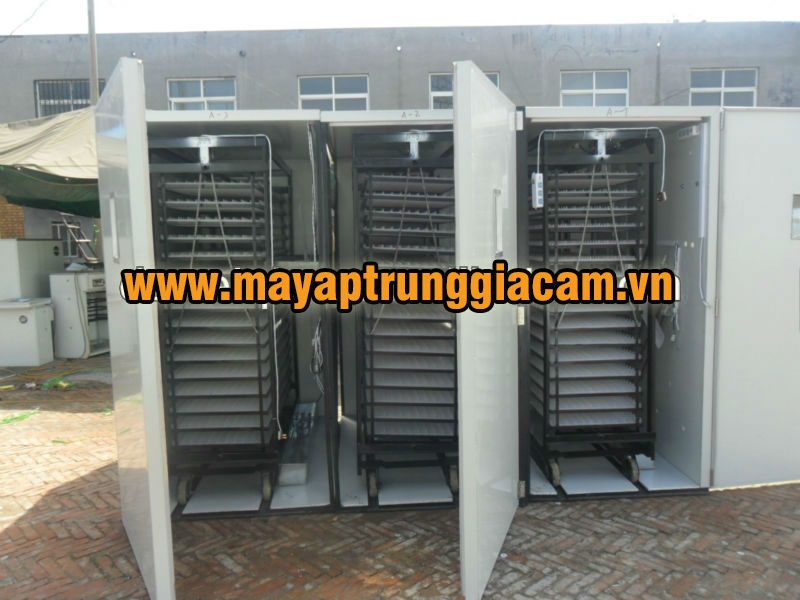 MÁY ẤP TRỨNG NHẬP KHẨU KN-16896