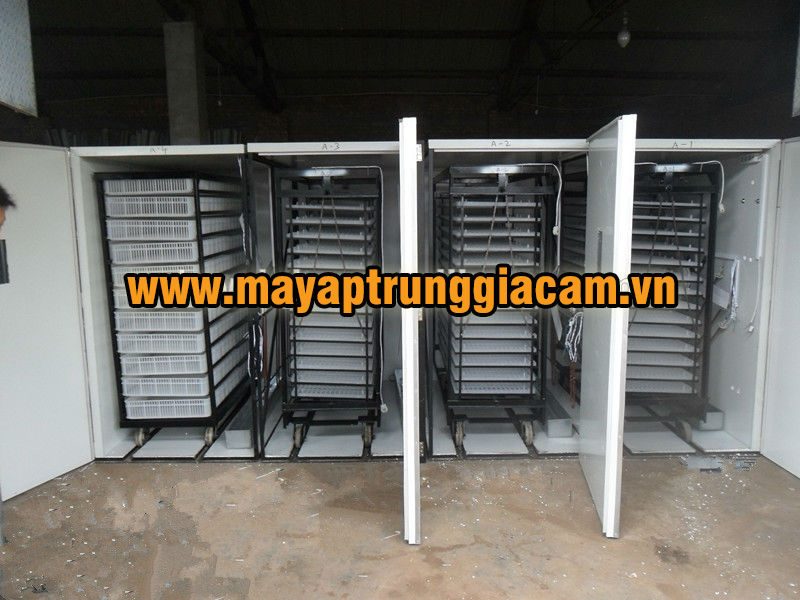 MÁY ẤP TRỨNG NHẬP KHẨU KN-19712