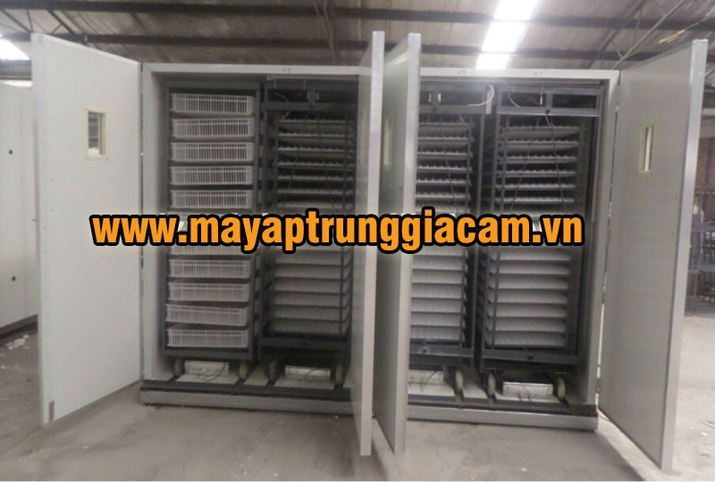 MÁY ẤP TRỨNG NHẬP KHẨU KN-22528