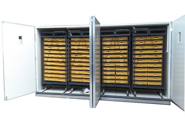 MÁY ẤP TRỨNG NHẬP KHẨU KN-23232