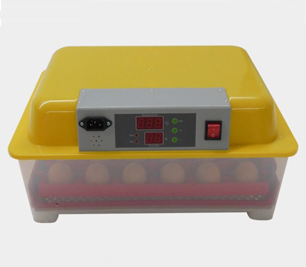 MÁY ẤP TRỨNG NHẬP KHẨU KN-24