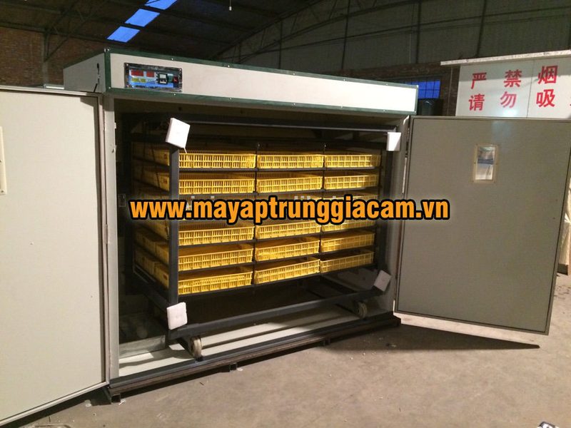 MÁY ẤP TRỨNG NHẬP KHẨU KN-3168