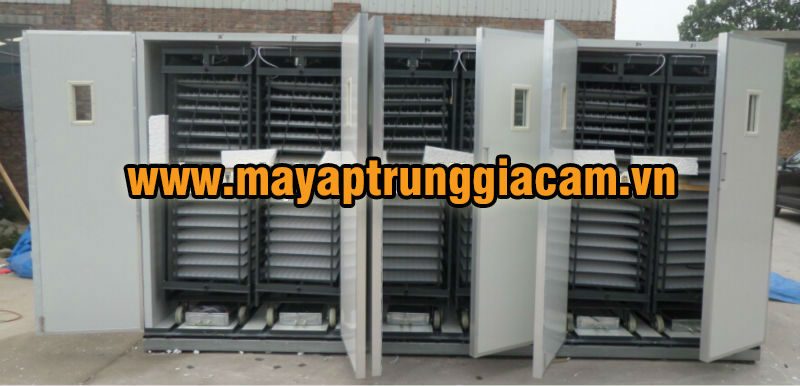 MÁY ẤP TRỨNG NHẬP KHẨU KN-33792