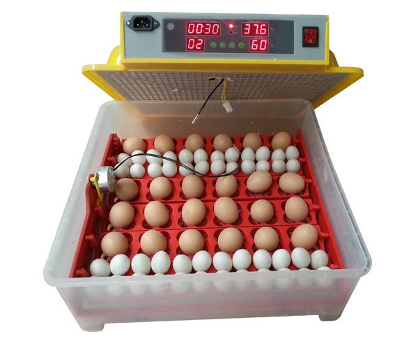 MÁY ẤP TRỨNG NHẬP KHẨU KN-36