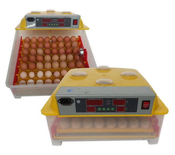 MÁY ẤP TRỨNG GIA CẦM KN-56