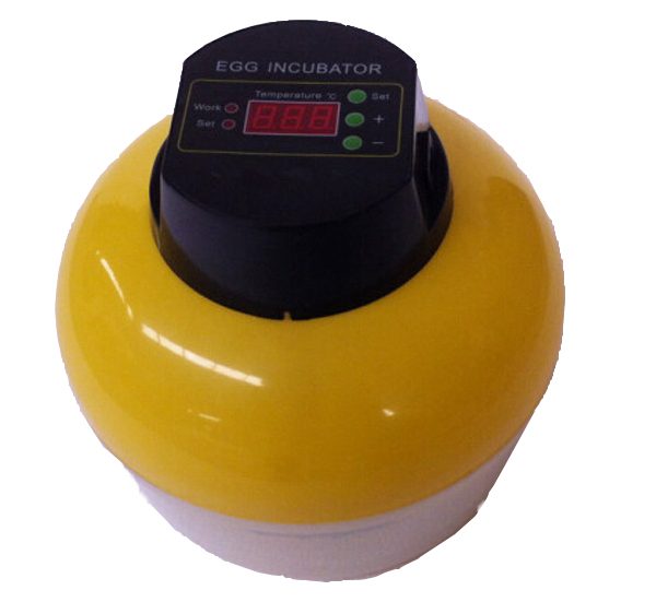 MÁY ẤP TRỨNG NHẬP KHẨU KN-8