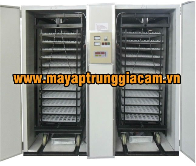 MÁY ẤP TRỨNG NHẬP KHẨU KN-8448