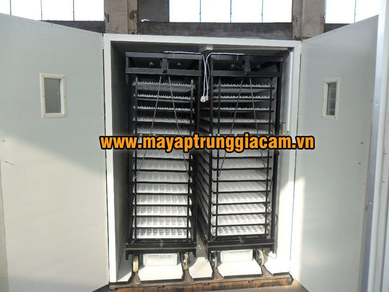 MÁY ẤP TRỨNG NHẬP KHẨU KN-9856