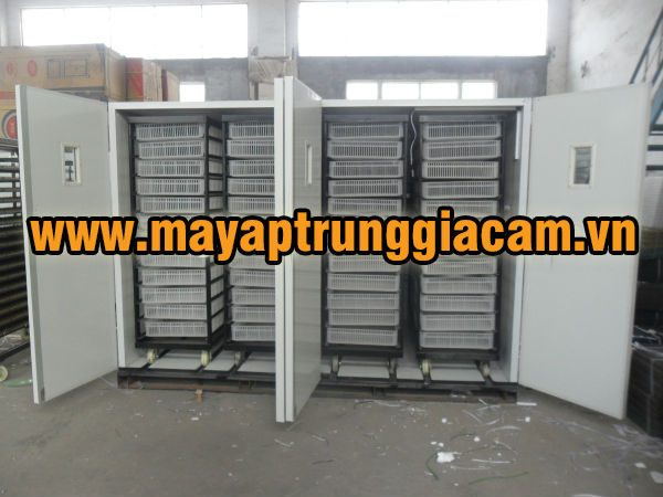 Máy ấp trứng nhập khẩu KN-19800 CE