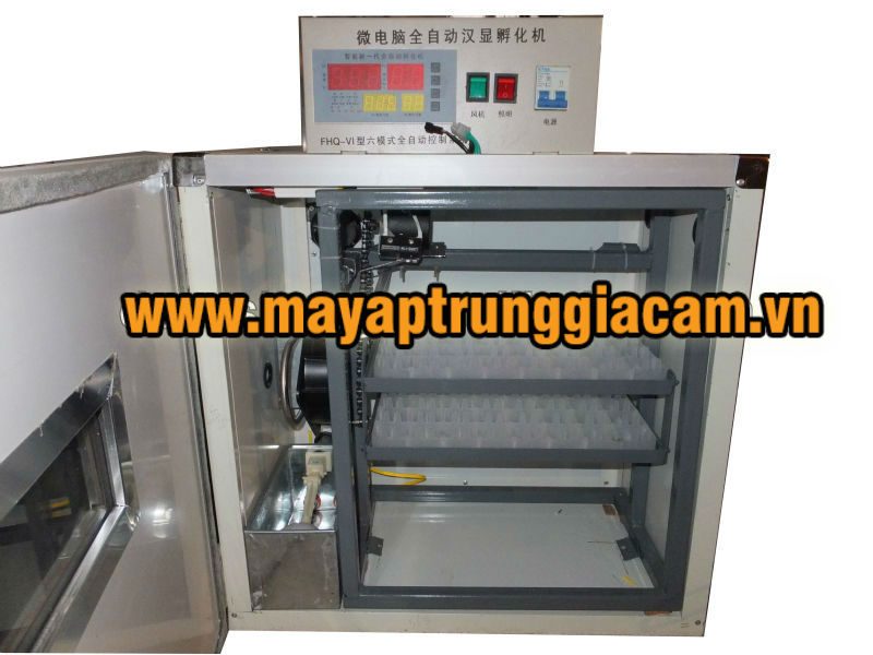 Máy ấp trứng mini KN-80 pcs