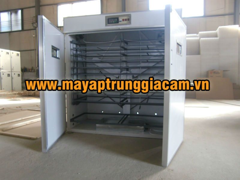 Máy ấp trứng nhập khẩu KN-832pcs