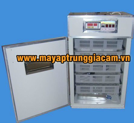 Máy nở KN-5 500pcs