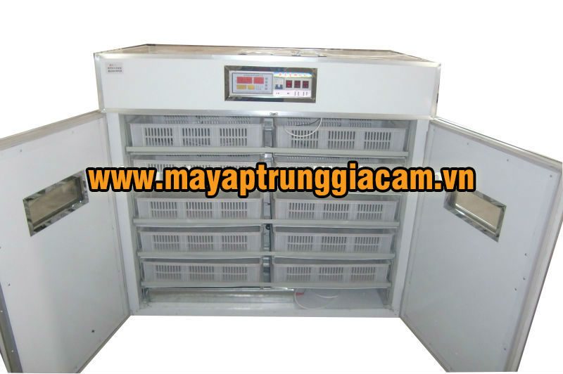 Máy nở KN-1 2000pcs