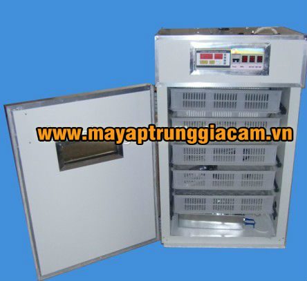 Máy nở KN-5 500 pcs