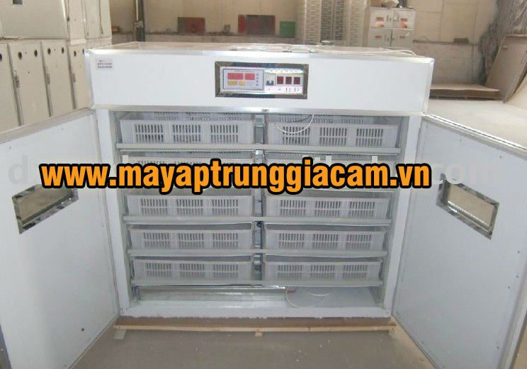 Máy ấp trứng KN-7