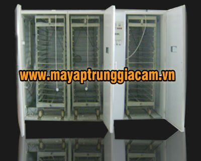 Máy nở KN-9 14784 pcs