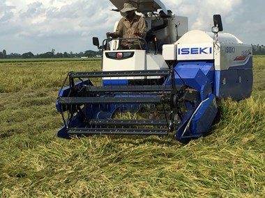 Máy gặt lúa ISEKI HC-80P