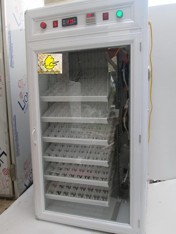 MÁY ẤP TRỨNG TỰ ĐỘNG MB-616 TRỨNG