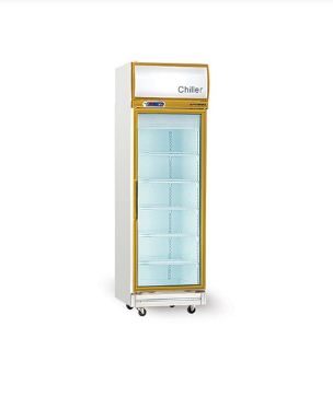 TỦ ĐÔNG 1 CÁNH KIẾNG  1D/DF-G-EV