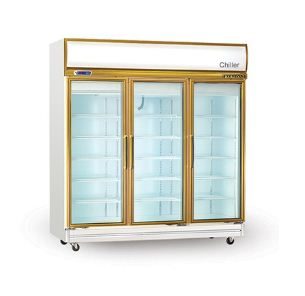 TỦ ĐÔNG 3 CÁNH KIẾNG  3D/DF-G-EV