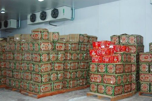Kho lạnh bảo quản thanh long