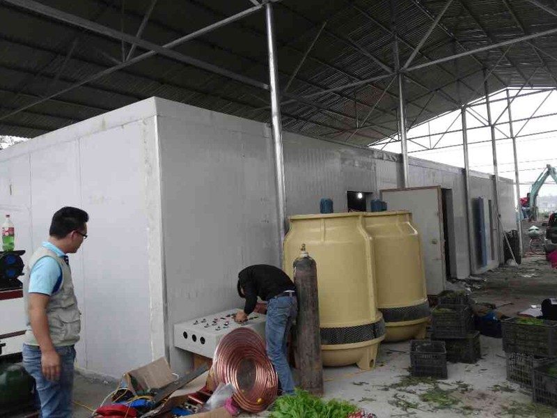 Kho lạnh bảo quản rau củ quả