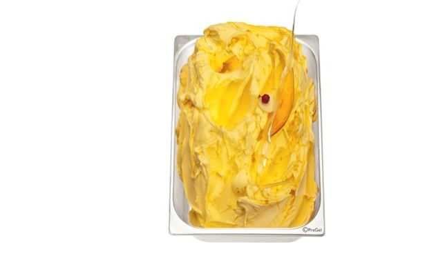 47772 - PREGEL MANGO ALPHONSO N (XOÀI ALPHONSO)