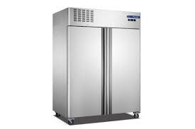 TỦ ĐÔNG 2 CÁNH ĐỨNG FRCF-4-2