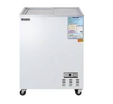 Tủ đông WOOSUNG WS-100FA (D)