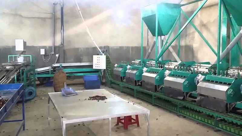 Máy cắt tách hạt điều