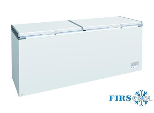 Tủ đông nằm 2 nắp đỡ Firscool G-BD-768A