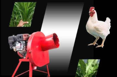 MÁY BĂM CHUỐI ĐỘNG CƠ XĂNG TAKYO TK55
