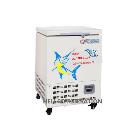 Tủ đông âm sâu Heli DW-65W58