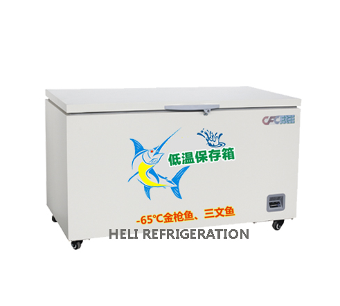 Tủ đông âm sâu Heli DW-60W218