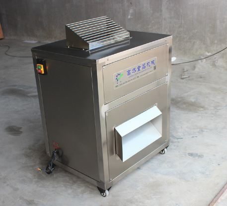 Máy cắt lát cá tươi đa chức năng NT-300