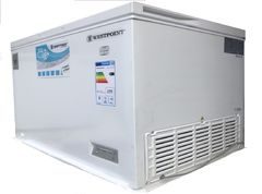 TỦ ĐÔNG WESTPOINT INVERTER WBION-45219