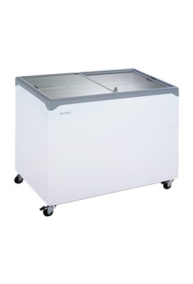 Tủ đông nằm ngang UDD 300 SCN