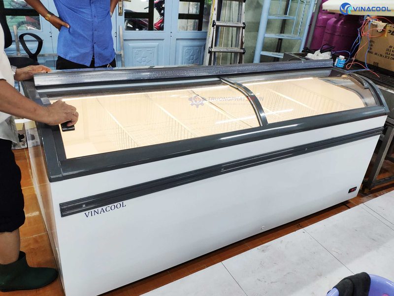 Tủ đông trưng bày thực phẩm kính cong WD4-1008