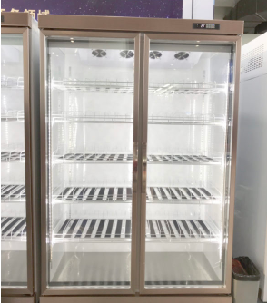 Tủ mát 2 cánh Okasu OKS-HG1260