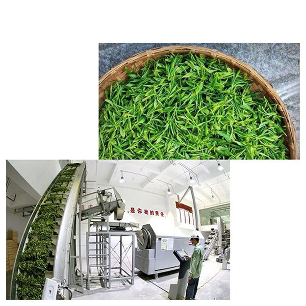 Dây Chuyền Sản Xuất Nước Trà Xanh VNC379