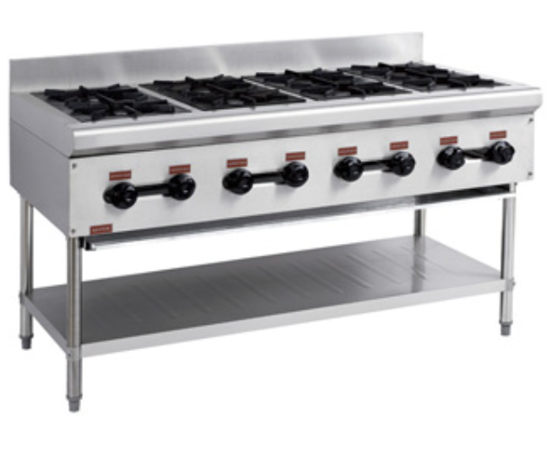 Bếp Âu 8 Họng Đứng DM01-8