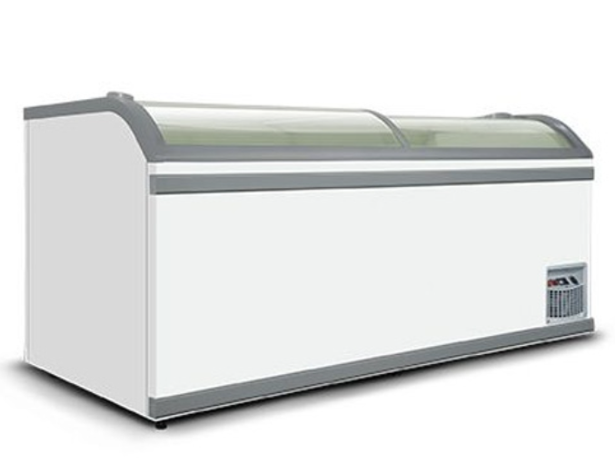 Tủ đông kính cong lùa Irene 210