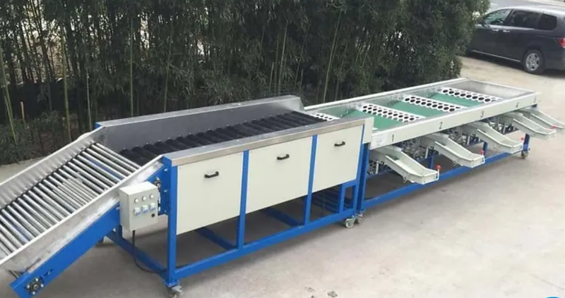 Máy phân cỡ tỏi FIGG-5000