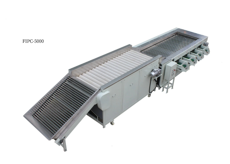 Máy rửa và phân cỡ khoai tây FIPC-5000