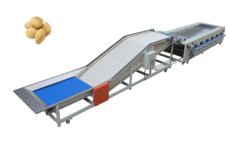 Máy rửa và phân cỡ khoai tây FIPG-8000