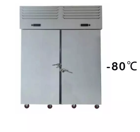 Tủ cấp đông nhanh Prosky SAGA 1250L