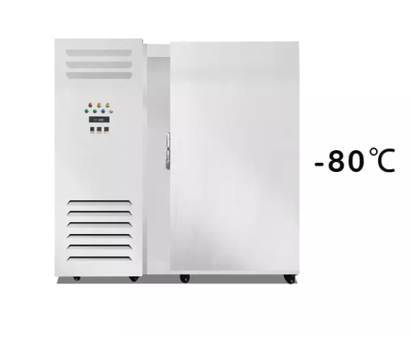 Tủ cấp đông nhanh Prosky SAGA 600L
