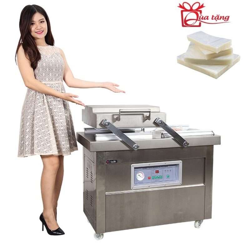 Máy hút chân không công nghiệp GoodFor DZQ500X2