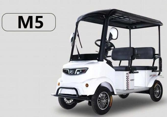 Xe điện Minibus M5