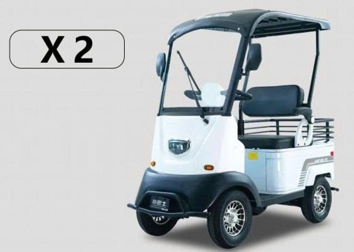 Xe điện Minibus X2